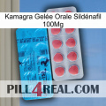 Kamagra Gelée Orale Sildénafil 100Mg new14